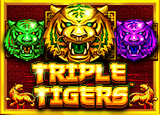 Triple Tigers - pragmaticSLots - Rtp akgtogel